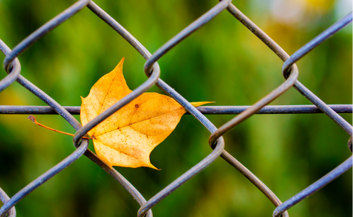 Mars Tel Örgü, Yenilikçi Güvenlik Çözümleri Sunmaya Devam Ediyor
